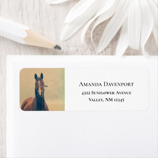 Hübsches braunes Pferd, Stehend auf einem Feld (Insitu)