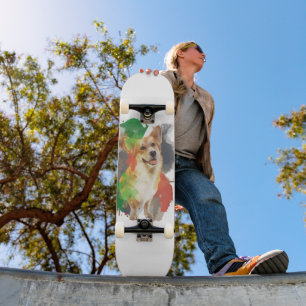 Hübsches Corgi. Skateboard