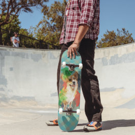 Hübsches Corgi. Skateboard