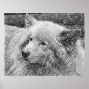 Hübsches Dog Face Pencil Art Poster