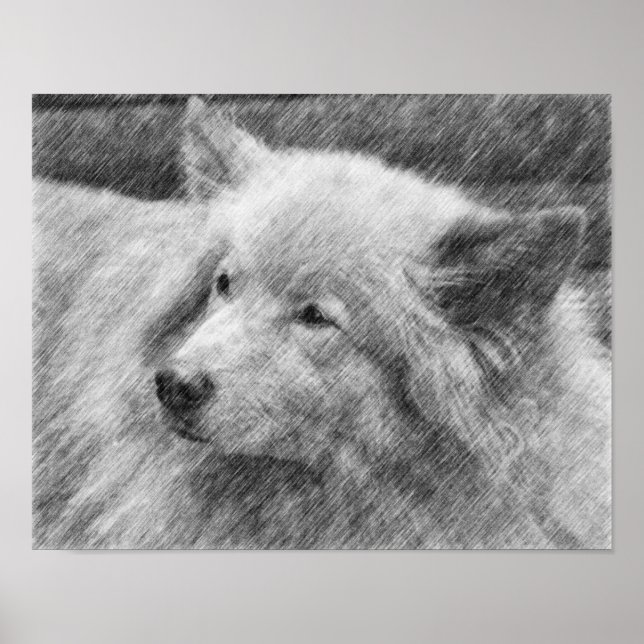 Hübsches Dog Face Pencil Art Poster (Vorne)