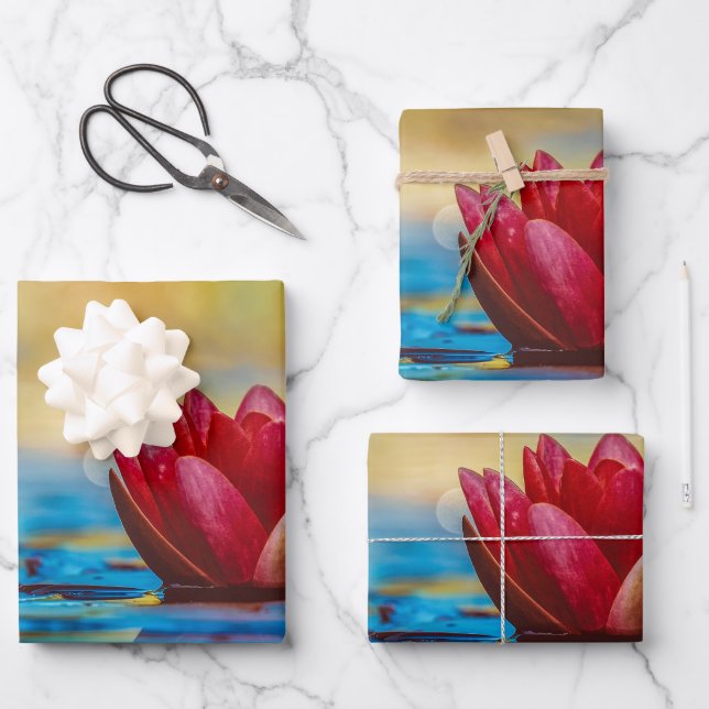 Hübsches Foto einer Lotus-Blume in einem Teich Geschenkpapier Set (Vorderseite)