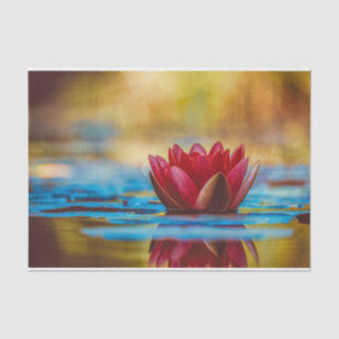 Hübsches Foto einer Lotus-Blume in einem Teich Seidenpapier