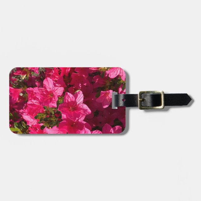 Hübsches Foto Rosa Azaleen Schließen Gepäckanhänge Gepäckanhänger (Vorderseite horizontal)