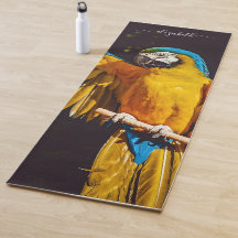 Hübsches Gelbbvögeltier