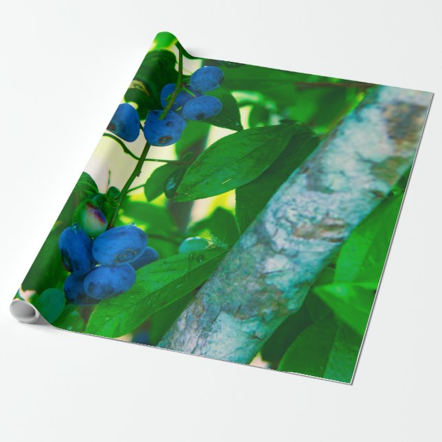 Hübsches Gemüse Geschenkpapier (Ungerollt)