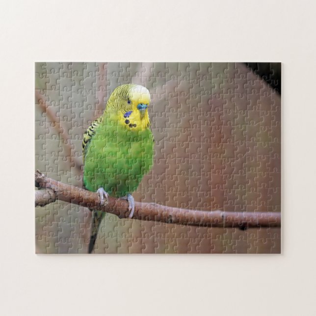 Hübsches Green Budgie Foto Puzzle (Horizontal)
