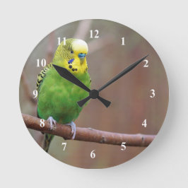 Hübsches Green Budgie Foto Runde Wanduhr
