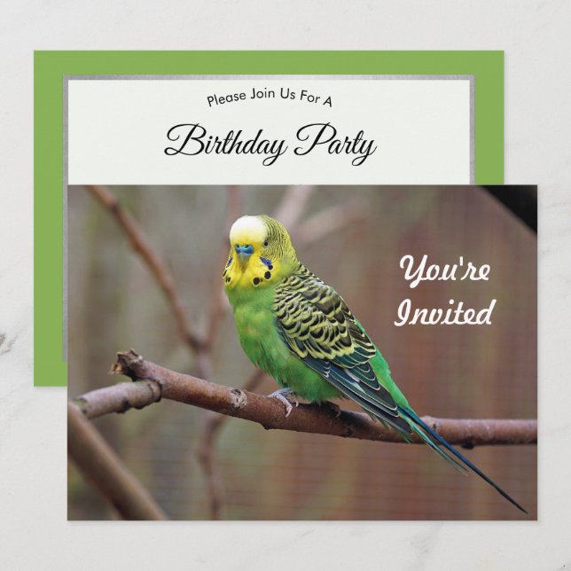 Hübsches grünes Parakeet Foto Geburtstag Einladung (Vorne/Hinten)