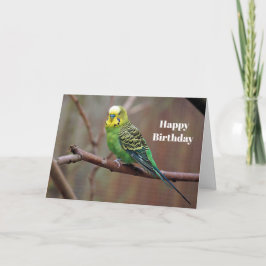 Hübsches grünes Parakeet Foto Geburtstag Karte