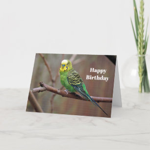 Hübsches grünes Parakeet Foto Geburtstag Karte