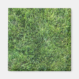 Hübsches Grüngras-Foto-Textur-Muster Spaß Magnet