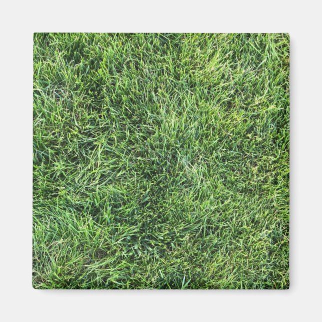 Hübsches Grüngras-Foto-Textur-Muster Spaß Magnet (Vorne)