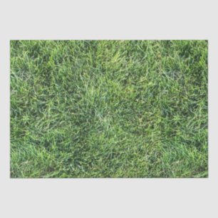 Hübsches Grüngras-Foto-Textur-Muster Spaß Seidenpapier