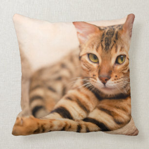 Hübsches Katzen-Polyester-Wurfkissen 20" x 20" Kissen
