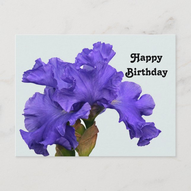 Hübsches Lila Iris Floral Foto Geburtstag Postkarte (Vorderseite)