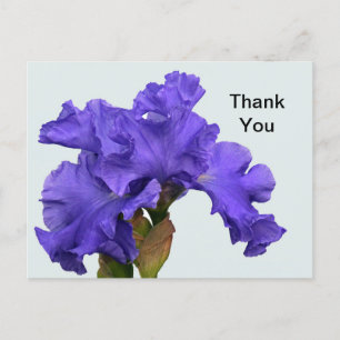 Hübsches Lila Iris Floral Foto Vielen Dank Postkarte