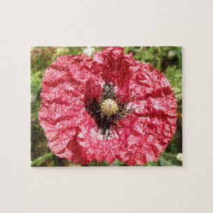 Hübsches Macro Puzzle aus roter Mohnblume Blume