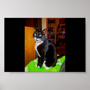 Hübsches Mädchen Lucy Poster