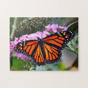 Hübsches Monarch Butterfly-Foto Puzzle