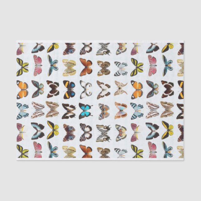 Hübsches Muster der Schmetterlinge Seidenpapier (Vorderseite)