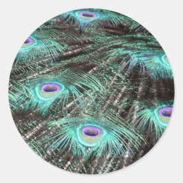 Hübsches Peacock Feathers Foto Runder Aufkleber