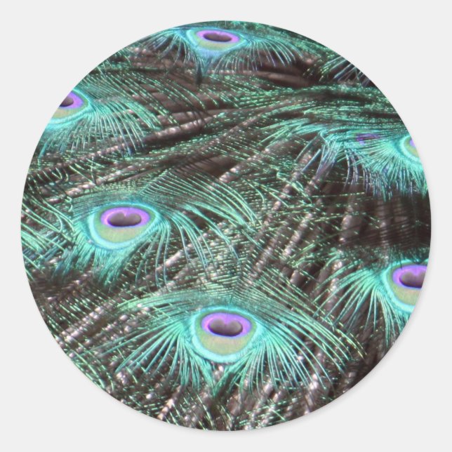 Hübsches Peacock Feathers Foto Runder Aufkleber (Vorderseite)