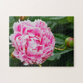 Hübsches Pink Peony Floral Foto Puzzle