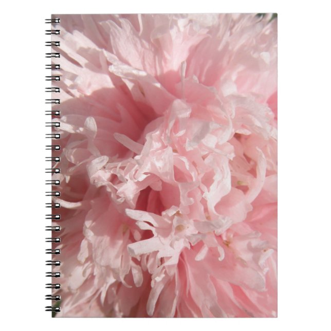 Hübsches Pink Poppy-Notebook Notizblock (Vorderseite)