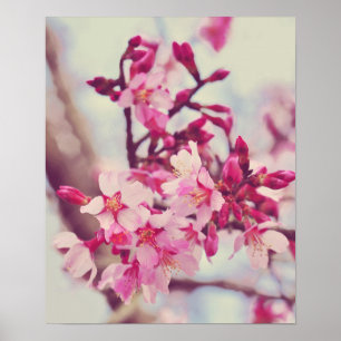Hübsches Pink Tree Blossom Foto Poster