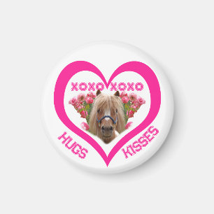 Hübsches Pony in Rosa zum Valentinstag Magnet