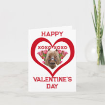 Hübsches Pony in roten Valentinstagskarten für Kin