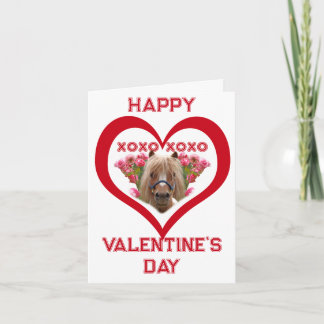 Hübsches Pony in roten Valentinstagskarten für Kin