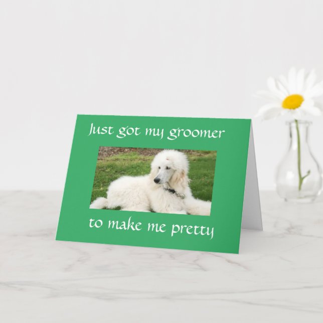 HÜBSCHES "POODLE" SAGT "GLÜCKLICHES GEBURTSTAG"-KA KARTE (Kleine Pflanze)