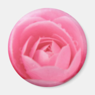 Hübsches Rosa Blume Magnet