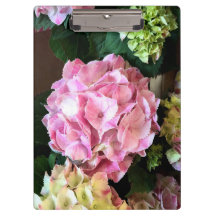 Hübsches rosa Hygrangea Klemmbrett