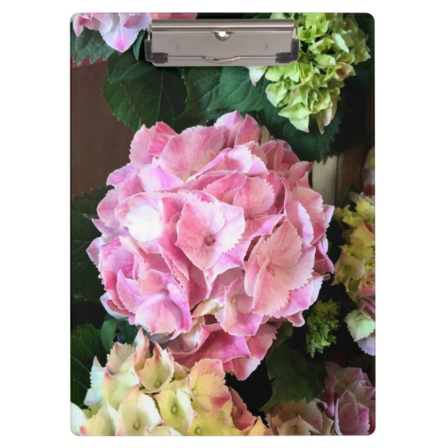 Hübsches rosa Hygrangea Klemmbrett (Vorderseite)
