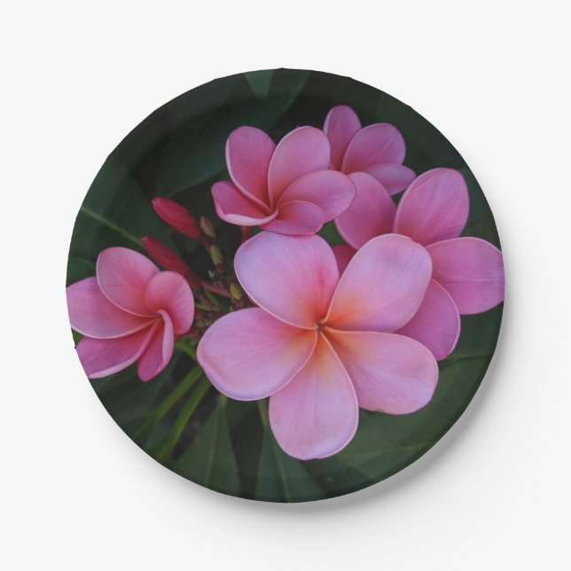Hübsches rosa Plumerien-Blumenfoto Pappteller (Vorderseite)