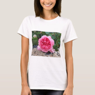Hübsches Rosa Rosenblumen Florales Gartnerei T-Shi T-Shirt