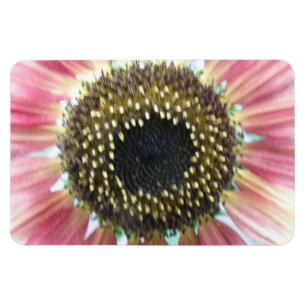 Hübsches rosa Sonnenblumenmotiv Magnet