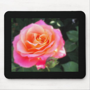 Hübsches Rosa- und Orange-Rose-Macro-Foto Mousepad