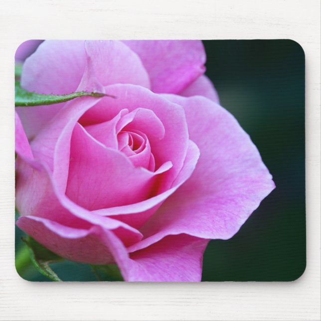 Hübsches Rosenfoto Mousepad (Vorne)