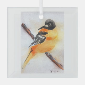 Hübsches Rotkehlchen-Aquarell-Weihnachten Ornament Aus Glas
