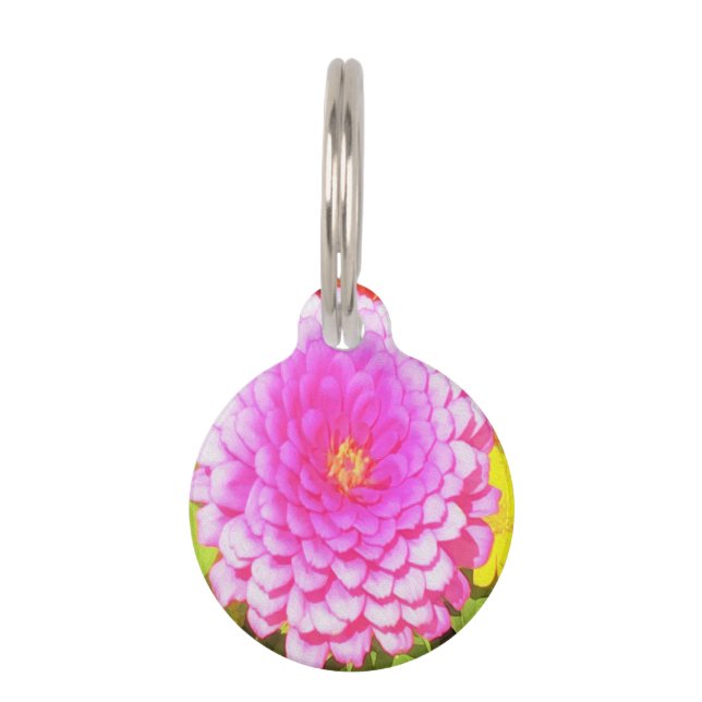 Hübsches Round Pink Zinnia im Sommergarten Haustiermarke (Vorderseite)