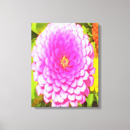 Hübsches Round Pink Zinnia im Sommergarten Leinwanddruck