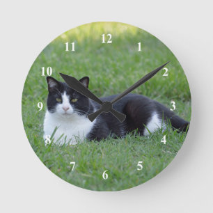 Hübsches Schwarz-Weiß-Tuxedo-Kat-Foto Runde Wanduhr