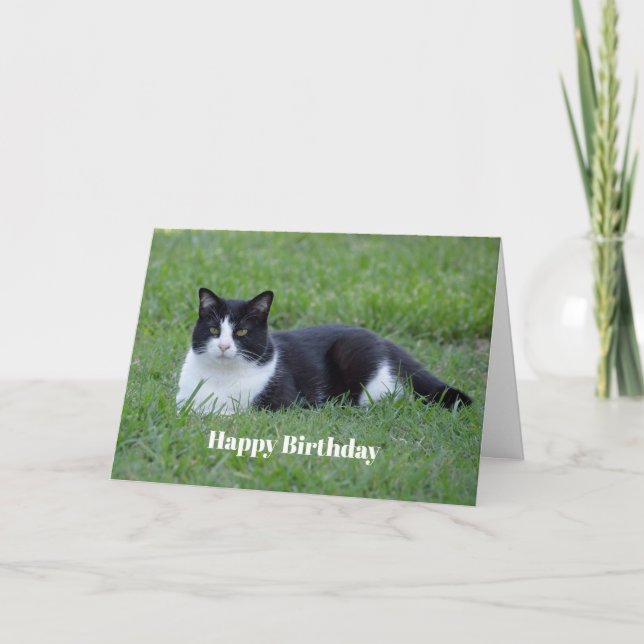 Hübsches Schwarz-Weiß-Tuxedo-Katze Foto Geburtstag Karte (Vorderseite)