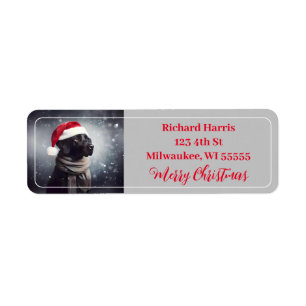 Hübsches Schwarzes Labor in Scarf und Weihnachtsma