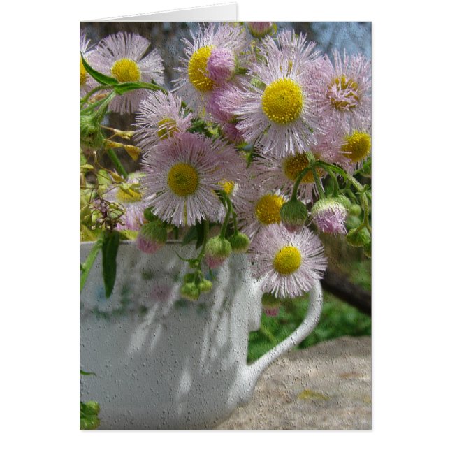 Hübsches Unkraut (Vorne)