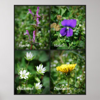Hübsches Unkrautposter Poster